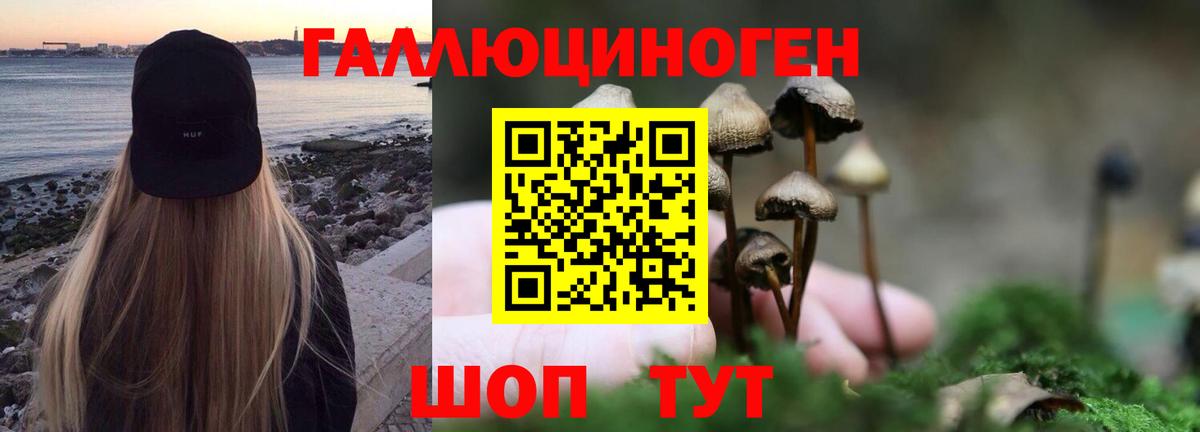 Галлюциногенные грибы мицелий  Вход с VPN  Галлюциногенные грибы ЛСД  Вятские Поляны 